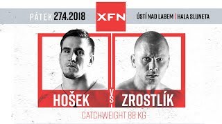David Hošek vs. Ivo Zrostlík | XFN 10 Ústí nad Labem
