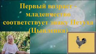 Возрастной гороскоп первый возраст