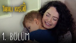 Yaralı Kuşlar 1. Bölüm