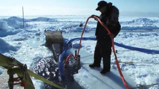 Золотая лихорадка: Берингово море - Каждый Келли сам за себя