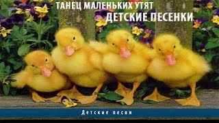 Танец маленьких утят | Детские песенки