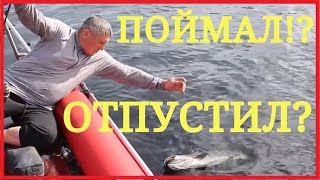 ТАЙМЕНЬ НА ГОРНОМ ОЗЕРЕ! #17 Рыбалка спинингом на блесну на горных реках Сибири и Тувы