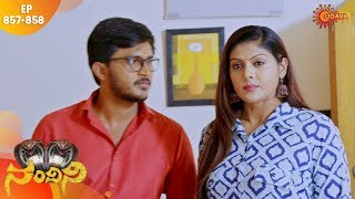 Nandini Maha Sanchike | 23rd Jan 2020 | Udaya TV Serial | Kannada Serial