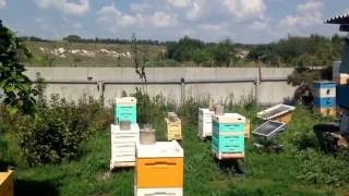 Пасека .Улья Lyson  Лысонь  Bee Box Бибокс.