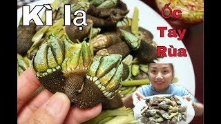 ??Bất Chấp Lời Đồn Ăn Thử Ốc Tay Rùa & Cái kết thốn tới rốn - Cuộc sống ở Nhật# 81
