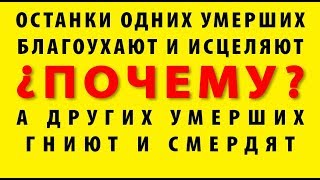 СВЯТЫЕ МОЩИ И ТЕЛА ГРЕШНИКОВ.