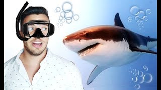 EURgRgHEuGH (SHARK SIMULATOR)