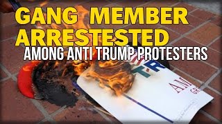GANG MEMBER ARRESTESTED AMONG ANTI TRUMP PROTESTERS