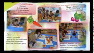 Воспитатель года 2017 Никитина Ирина