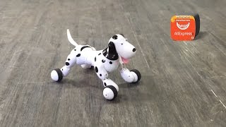 Робот-собака на пульте управления с Aliexpress