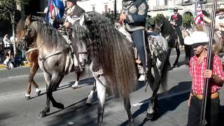 desfile de ecuestre de charros y caballos