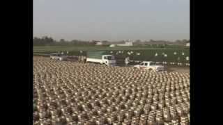 Mirak Agricultural Services - Largest Open Field Hydroponic System