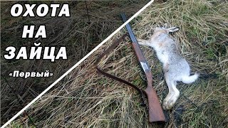 охота на зайца 2017. Первый в сезоне!