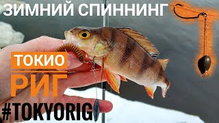 Зимний спиннинг на Токио риг. Tokyo rig.