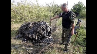 Российская авиация ещё никогда не несла таких боевых потерь