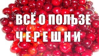 Черешня Всё о полезных свойствах черешни