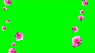 Фон для видеомонтажа Розы HD Background
