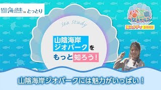「海と生きる人」に、お話を聞いてみよう！ 日本財団 海と日本PROJECT in とっとり 2018 #3