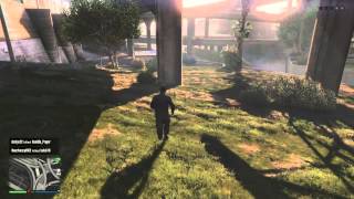Oh Hell No! Gta5