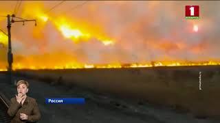 Аномально теплая и сухая погода провоцирует пожары в Приморье