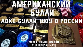 ABKC Булли-Шоу. Санкт-Петербург май, 2018. 1-ое шоу [Часть 3/3]