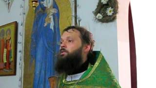 2016.06.19. Проповедь иерея Александра Орешина в праздник Святой Троицы