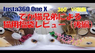 【でか猫兄弟】2019年 猫用福袋レビューVR（後編）/Insta360 one X