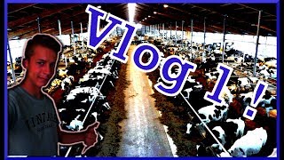 Vlog #1- Oprowadzenie po Gospodarstwie :D