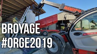 BROYAGE DE L'ORGE