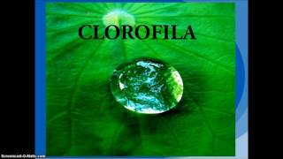 Reproducción Sexual y Asexual de las Plantas 2