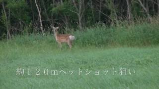 閲覧注意　エゾシカ有害鳥獣駆除