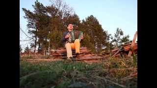 Тачанка, советская песня под гармонь (Tachanka, the soviet song on button accordion)