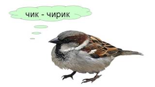 Как говорят животные
