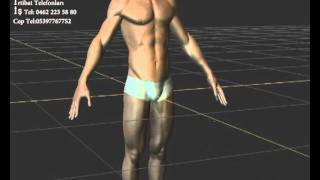 insan bedeni (human body)
