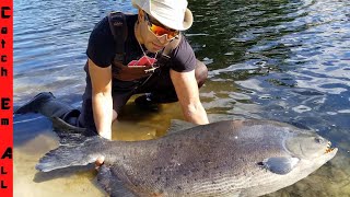 R.I.P. During SURGERY of DEAD MEGA FISH! **We tried everything King Pacu**