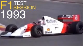F1 TEST SESSION 1993 Williams Renault McLaren Benetton Ford Formula 1 One Paul Ricard Circuit France