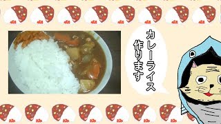 【男の料理】ド定番！！カレーライス作ってみました。