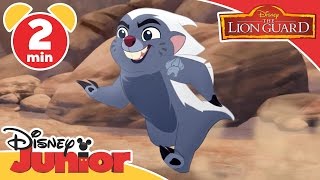 Lion Guard | Too Many Termites | Disney Junior UK