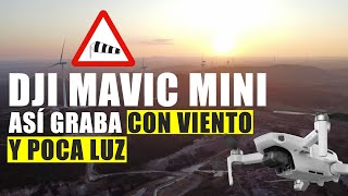 DJI Mavic Mini ⚠️ CON VIENTO y POCA LUZ: Prueba de vuelo en español
