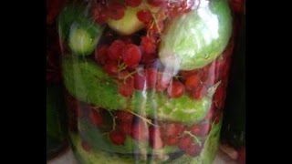 Приготовление маринованных огурцов в красной смородине.Pickles