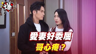 《多情大爆爆》多情城市 EP291 愛妻好委屈 哥心疼？