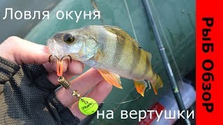Ловля окуня на вертушки Mepps Aglia #1