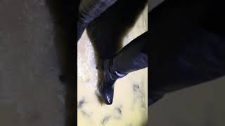 High heels Freelance boots in muddy puddles : Part 2