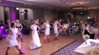 Suzanne's Wedding Flashmob - Timber