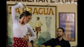 Taniec flamenco | Sewilla (Andaluzja) Emilia Dowgiało