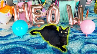 CAT'S FIRST BIRTHDAY PARTY