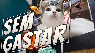 Gatorial | Móbile para GATOS sem gastar dinheiro!!