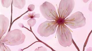 Yoshida Brothers - Cherry Blossoms in Winter Fuyu No Sakura