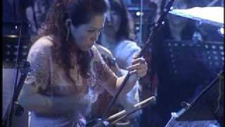 Tan Dun Crouching tiger Concerto譚盾 臥虎藏龍協奏曲 台中市交響樂團
