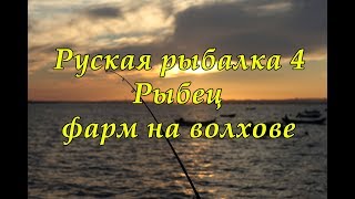 Русская рыбалка 4 Рыбец, фарм на волхове